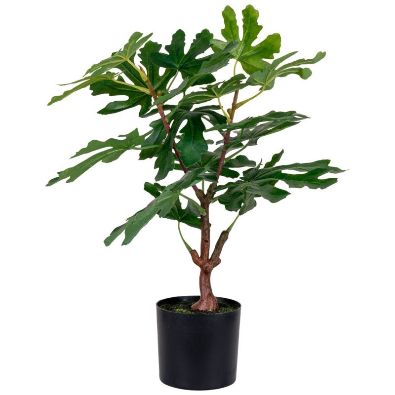 Image of Pianta Artificiale Ficus, Polietilene, Verde, 40x40x60 cm