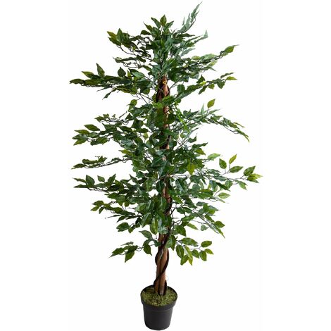 Pianta ficus artificiale