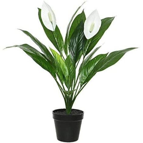 Pianta artificiale spathiphyllum