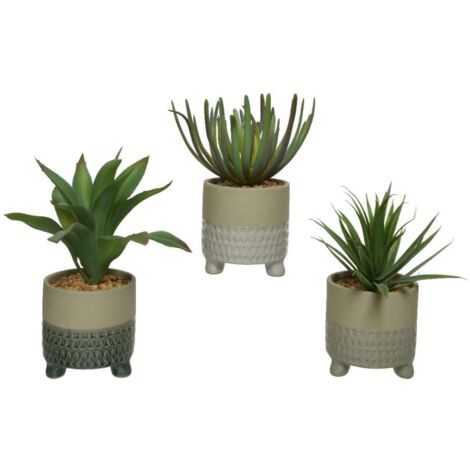 Pianta artificiale Succulent in vaso H 20Cm Tipologie Assortite