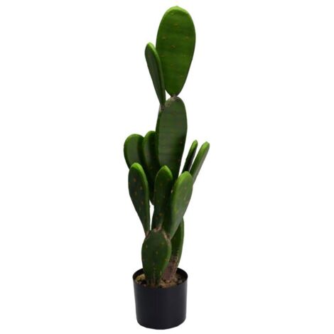 Pianta cactus con vaso tondo cmø14h84