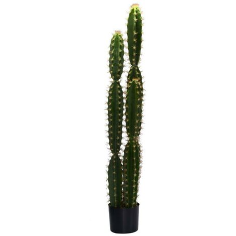 Pianta cactus con vaso tondo cmø18h124