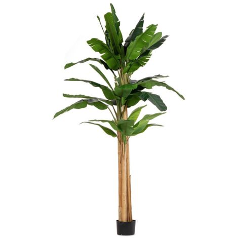 Pianta con Vaso Plastica Verde da Interno H200 cm - ZENITALE