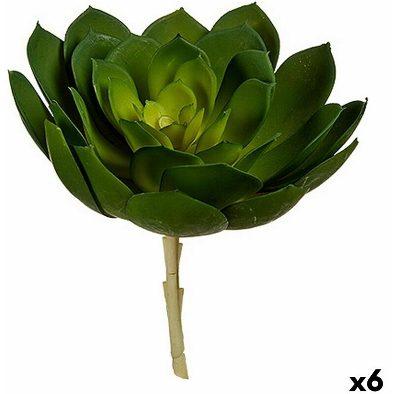 Image of Pianta Decorativa 22 x 19 x 19 cm Verde Plastica (6 Unità)