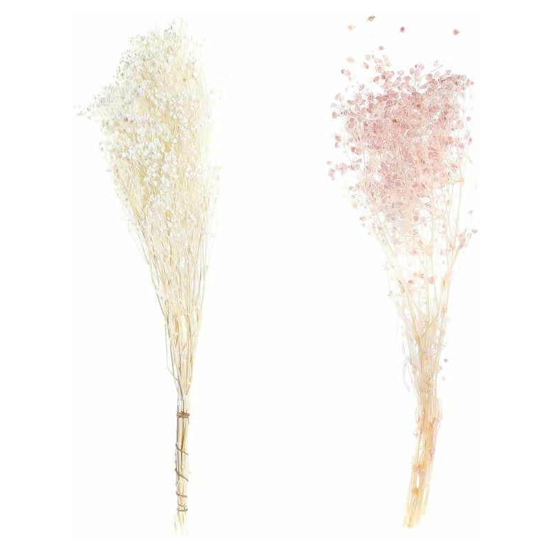 Pianta Decorativa DKD Home Decor Beige Pesca (20 x...