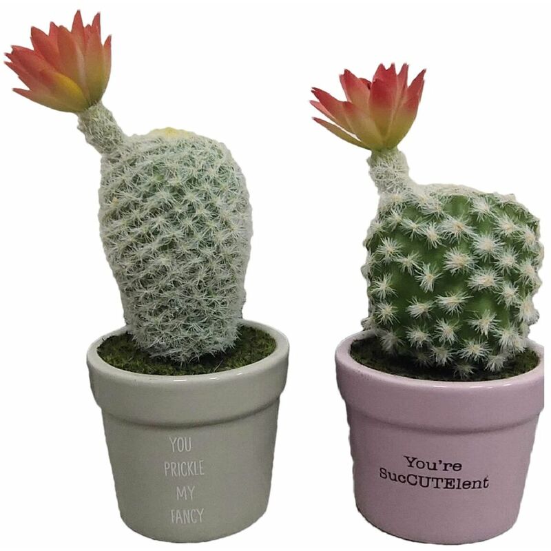Pianta Decorativa Dkd Home Decor Cactus Ceramica