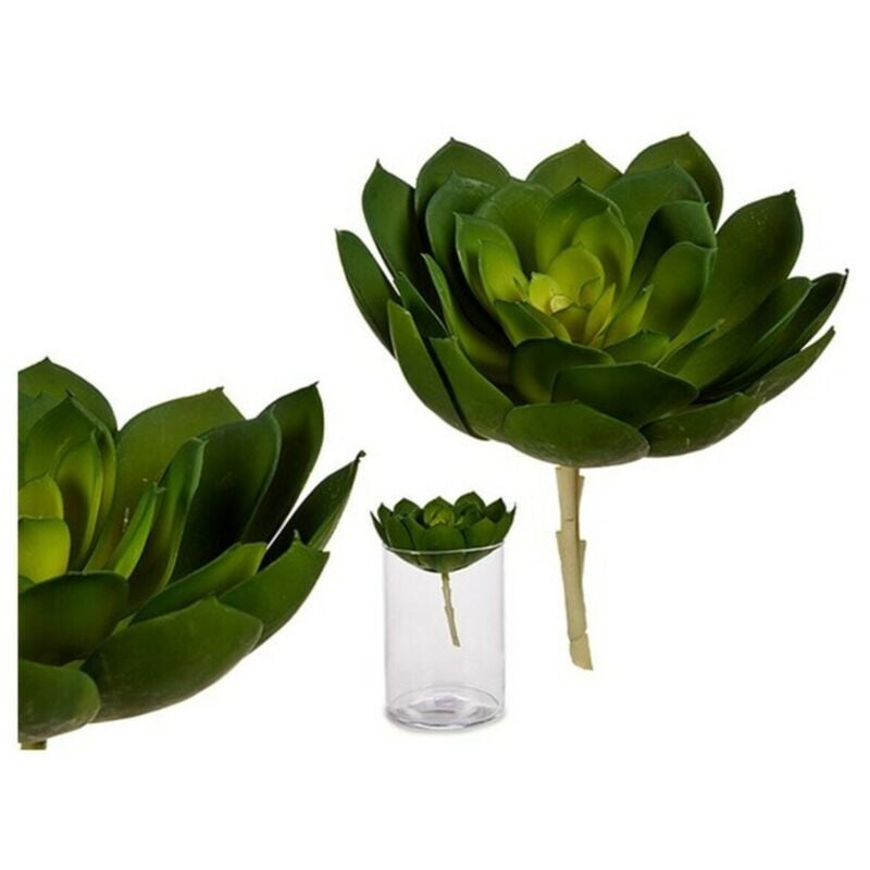 Pianta Decorativa Ibergarden YD180138 Plastica