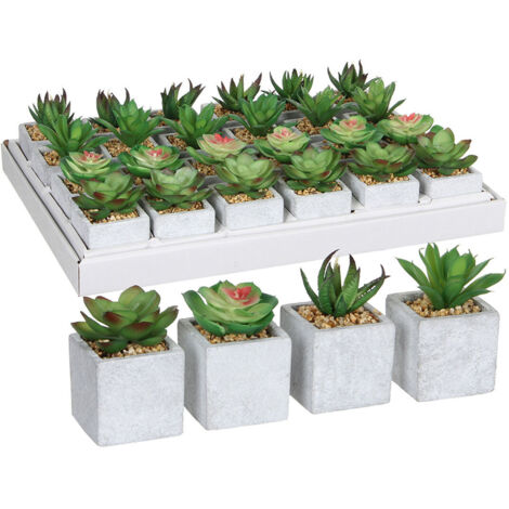 Pianta Decorativa Mica Decorations 8 x 5 cm Verde PVC Succulenta