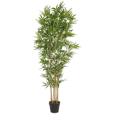 Pianta decorazione casa in bamboo con vaso 185h cm
