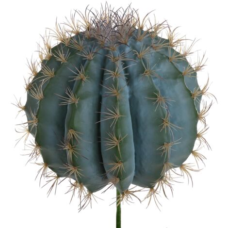 Pianta di Fero Cactus Artificiale