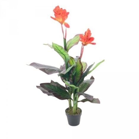 Pianta ornamentale Canna Lily con fiori arancio in vaso 115 cm.