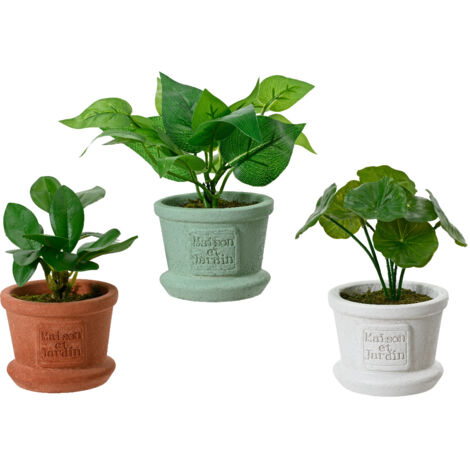 PIANTA POTOS CON VASO 8X8XH17CM 3 COLORI.