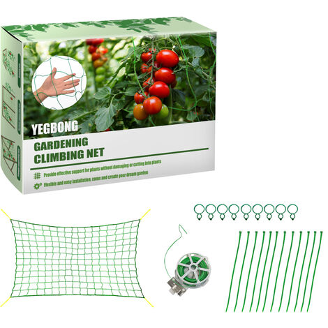 Pianta rampicante vite rete luffa giardino pomodoro frutto della passione uva verde traliccio giardinaggio famiglia 1.85 m