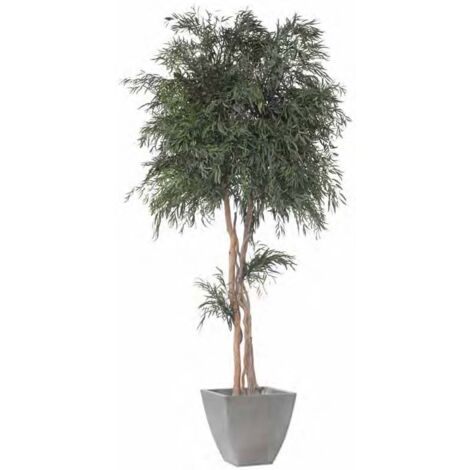 Pianta stabilizzata Nicolay H130cm (NO acqua, no Manutenzione) pianta da interno