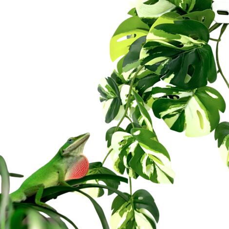 Pianta tropicale artificiale BioBush No3 per terrario Monstera variegata