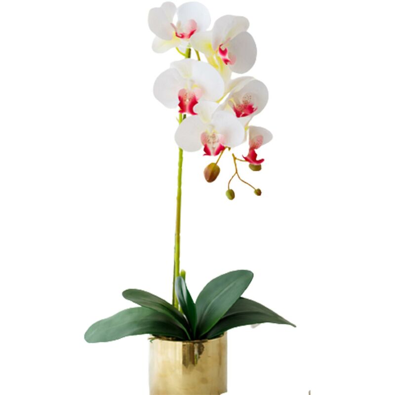 Fortuneville - Piante Di Orchidee Artificiali Con Vasi Orchidee Phalaenopsis Artificiali Per