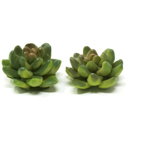Piante Grasse Set da 2 Pezzi 3x3x1,5 cm 11090