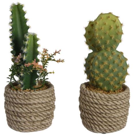 Piantina di cactus artificiale