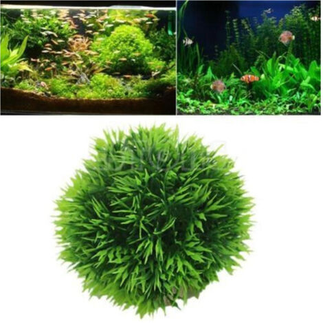 Piantna Artificiale For Aquaria Finte Plastic