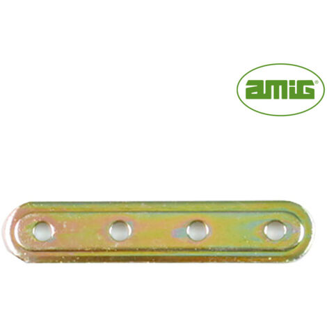 Piastra AMIG 505-312x20mm Acciaio bicromato (S) (12131)