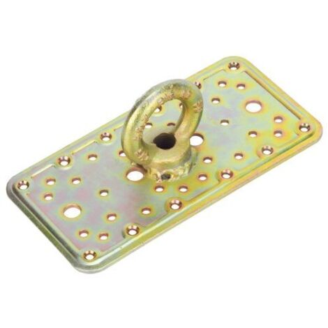 PIASTRA C/OCCHIO.ACC.TROP. ART.862 MM.100X200 ALDEGHI LUIGI SPA PZ 4,0