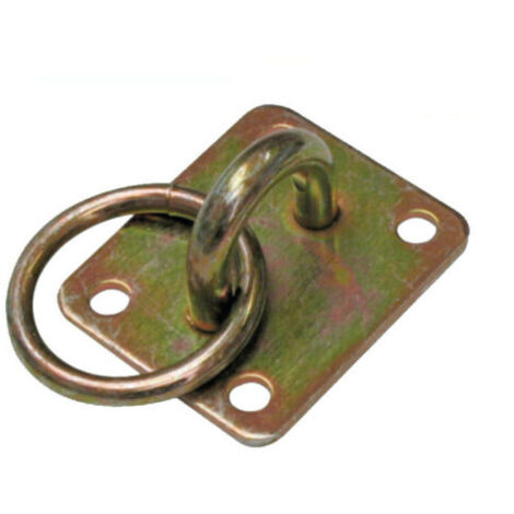 PIASTRA CAVALLOTTO CON ANELLO ACCIAIO MM 60X50X3 (29565)