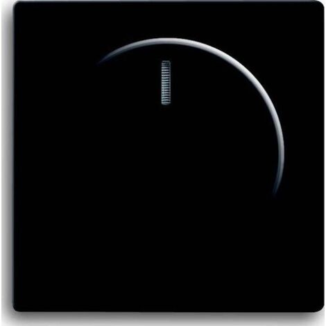 Piastra centrale Busch Jaeger 6540-885-102 finitura opaca 14x16 cm