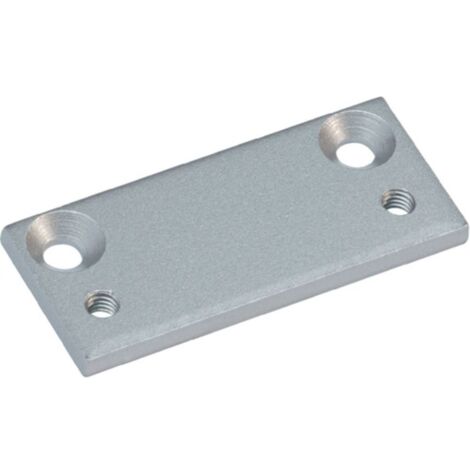 Piastra cerniera argento TS73 V/TS 83