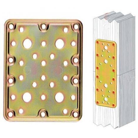 PIASTRA DIRITTA ACC.TROP. ART.776 MM.100X200 ALDEGHI LUIGI SPA PZ 20,0