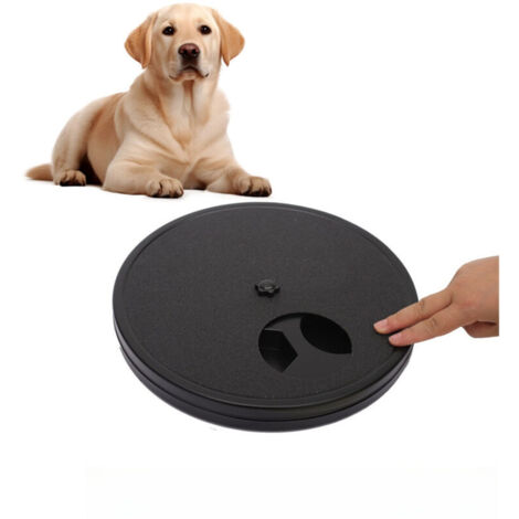 Piastra multifunzionale per artigli di cane