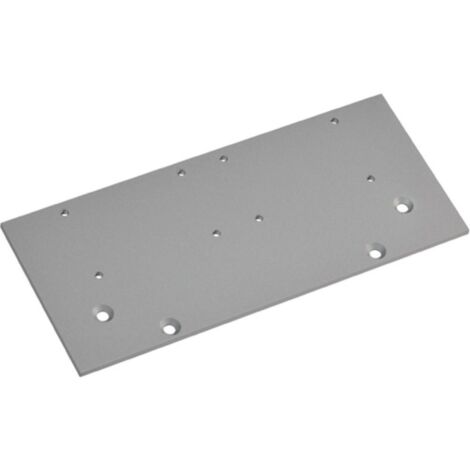 Piastra piatta per TS 73/83 V, argento