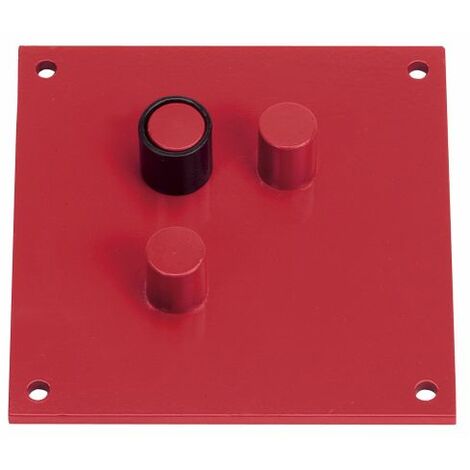 Piastra piegaferri in acciaio verniciato, tipo con perni cm.20x25 - Salone