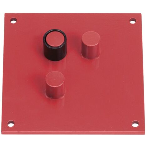 PIASTRA PIEGAFERRO cm 25 x 20 ø mm 22