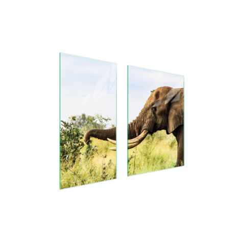 PIASTRA PROTETTIVA IN VETRO 75x52 ELEPHANT