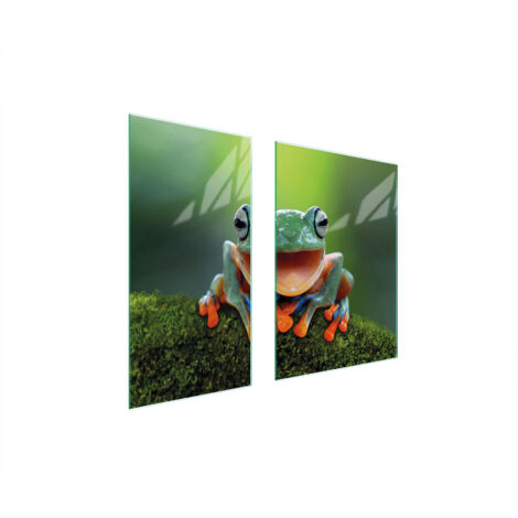 PIASTRA PROTETTIVA IN VETRO 75x52 FROG