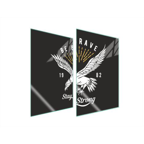 PIASTRA PROTETTIVA IN VETRO PER CUCINA 2x35x52 BIRD