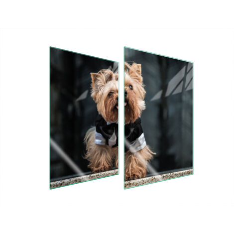 PIASTRA PROTETTIVA IN VETRO PER CUCINA 2x35x52 CANE