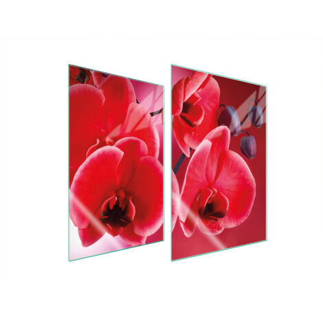 PIASTRA PROTETTIVA IN VETRO PER CUCINA 2x35x52 ORCHIDEA