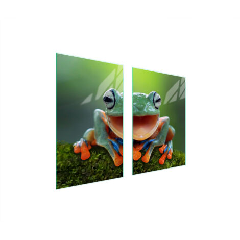 PIASTRA PROTETTIVA IN VETRO PER CUCINA 65x52 FROG