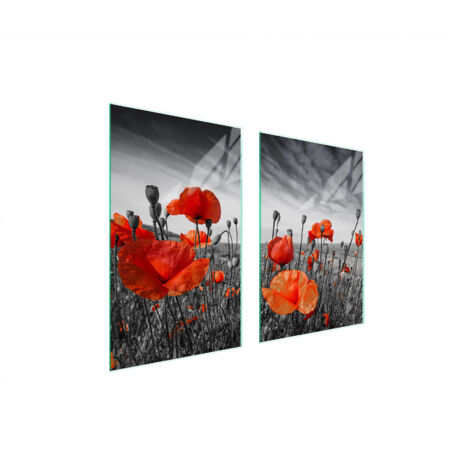 PIASTRA PROTETTIVA IN VETRO PER CUCINA 65x52 MAKI
