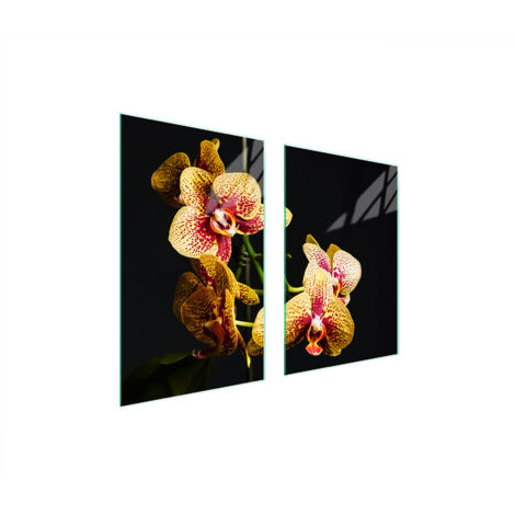 PIASTRA PROTETTIVA IN VETRO PER CUCINA 65x52 ORCHIDEA