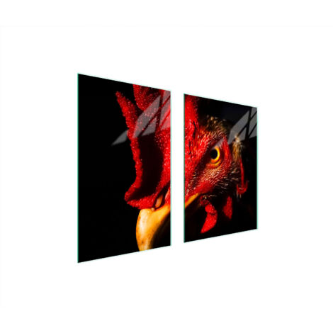 PIASTRA PROTETTIVA IN VETRO PER CUCINA 65x52 ROOSTER