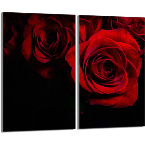 Piastra protettiva in vetro per la stufa 2x30x52 Rose