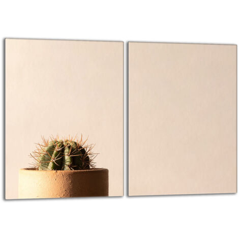 Piastra protettiva in vetro per la stufa 2x40x52 Cactus