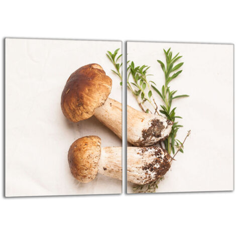 Piastra protettiva in vetro per la stufa 2x40x52 Funghi