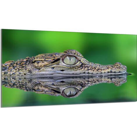 Piastra protettiva in vetro per la stufa 90x52 Crocodile