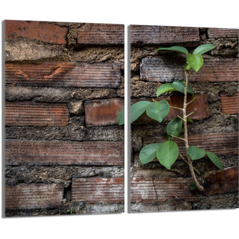 Piastra protettiva in vetro per stufa 2x30x52 Brick