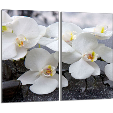 Piastra protettiva in vetro per stufa 2x30x52 Orchidea