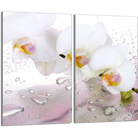 Piastra protettiva in vetro per stufa 2x30x52 Orchidea