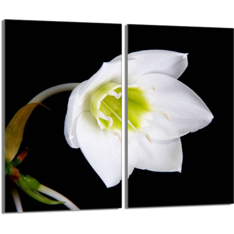 Piastra protettiva in vetro per stufa 2x30x52 Orchidea